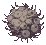Egg Sac