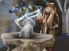 Transmogrification