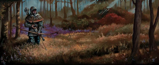 Reconnaissance