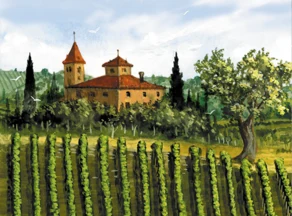 Vignoble