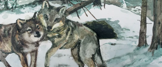 Tanière de loups