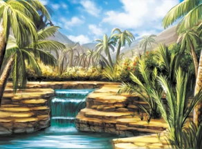 Oasis
