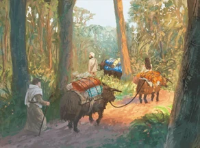 Route de la soie
