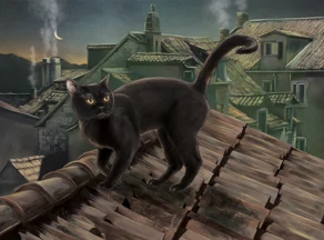 Schwarze Katze