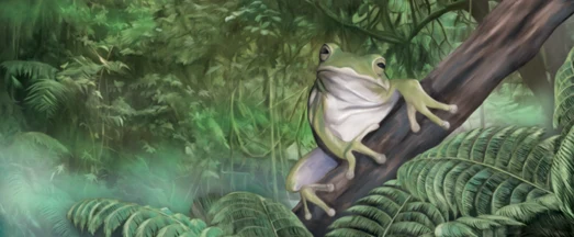 Weg des Frosches