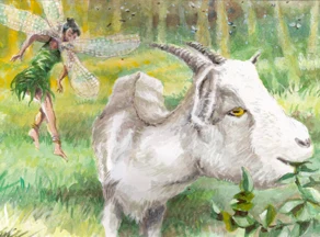 Weg der Ziege