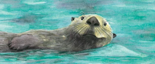 Weg des Otters