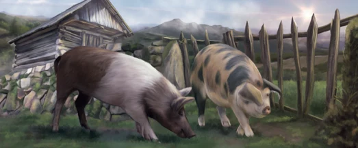 Weg des Schweins