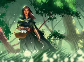 Druidin