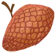 수수께끼의 고치