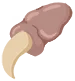 파엘의 발톱