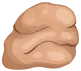 파엘의 군체