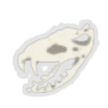 Snecko Skull