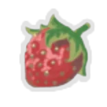 Erdbeere