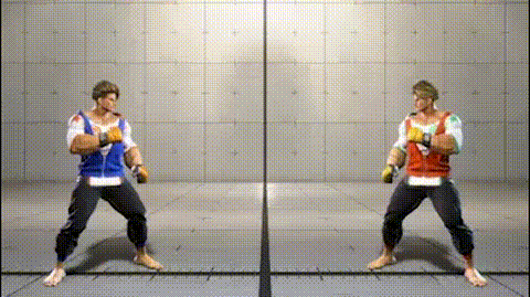 Aerial Flash Knuckle
